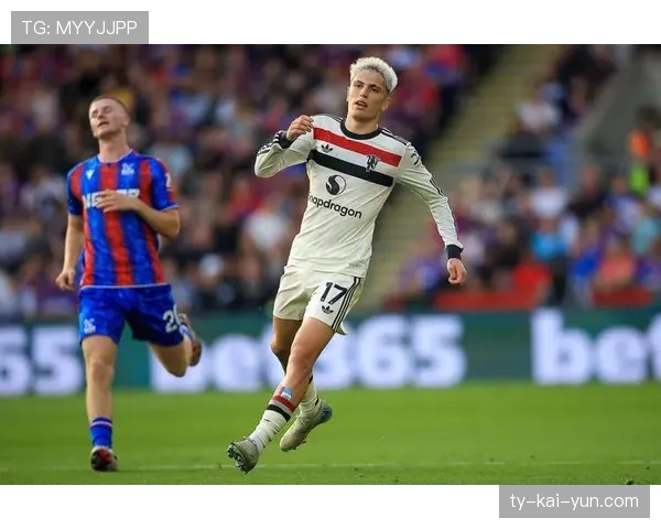 聚焦“超级替补”：曼联边锋加纳乔本赛季欧冠已3次替补登场后通过传中制造进球